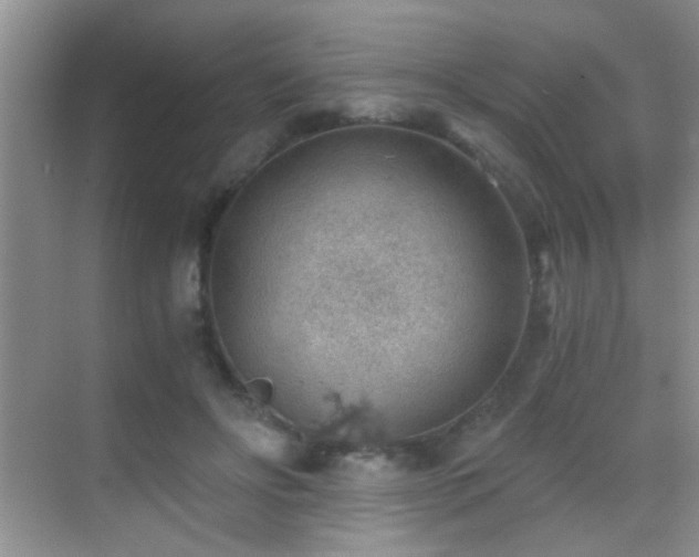 X0000069830502200605191143