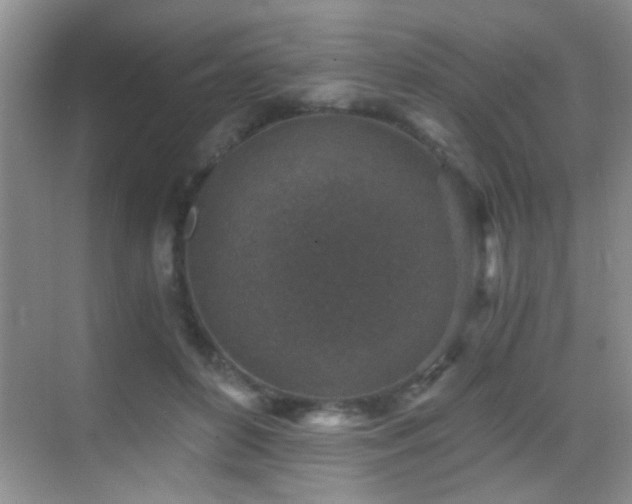 X0000069830504200605191143