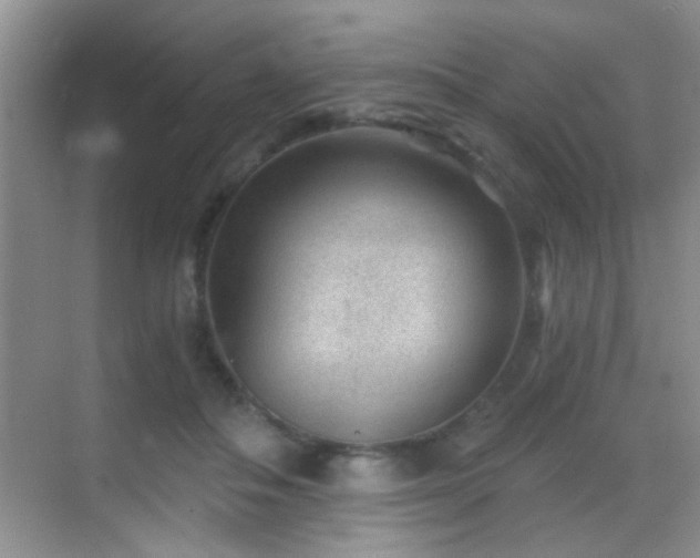 X0000069830506200605191143