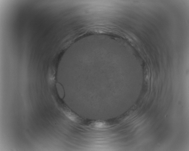 X0000069830507200605191143