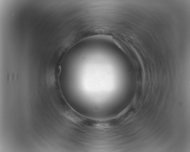 X0000069830508200605191143