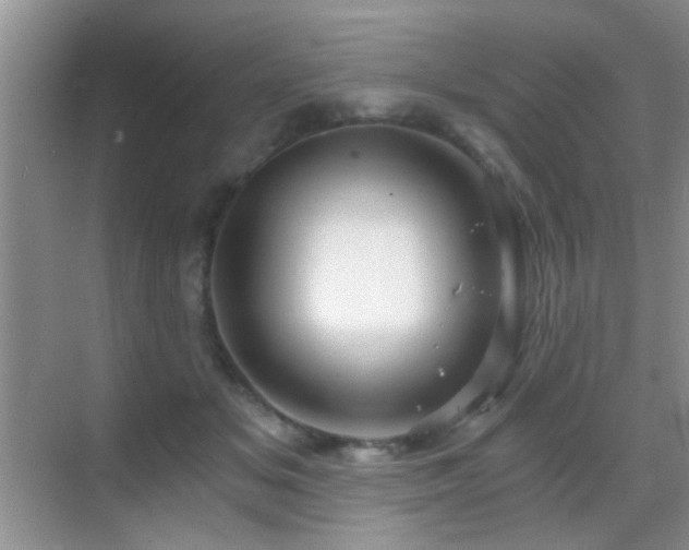 X0000069830509200605191143