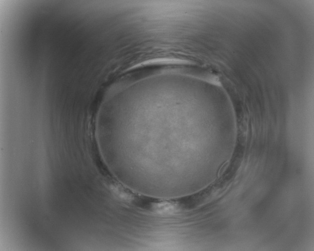 X0000069830511200605191143