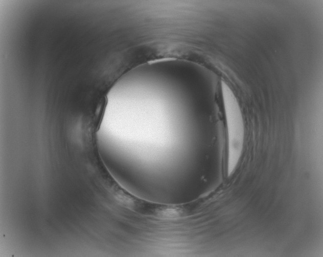 X0000069830513200605191143