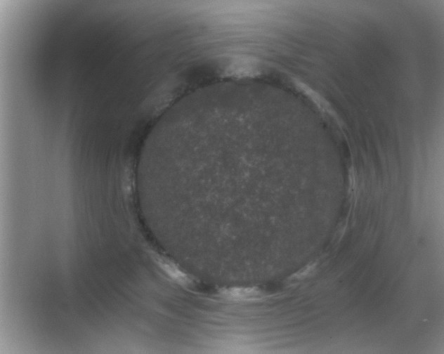 X0000069830517200605191143