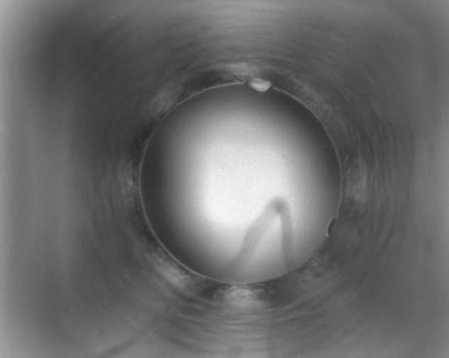 X0000069830518200605191143