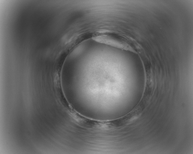 X0000069830523200605191143