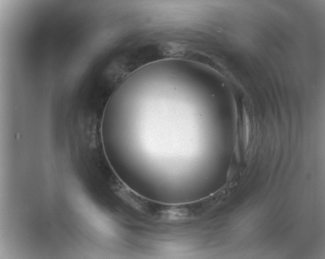 X0000069830525200605191143