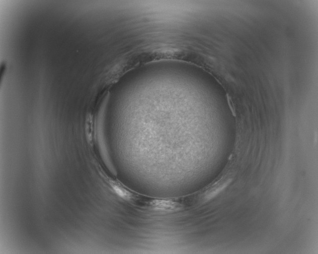 X0000069830528200605191143