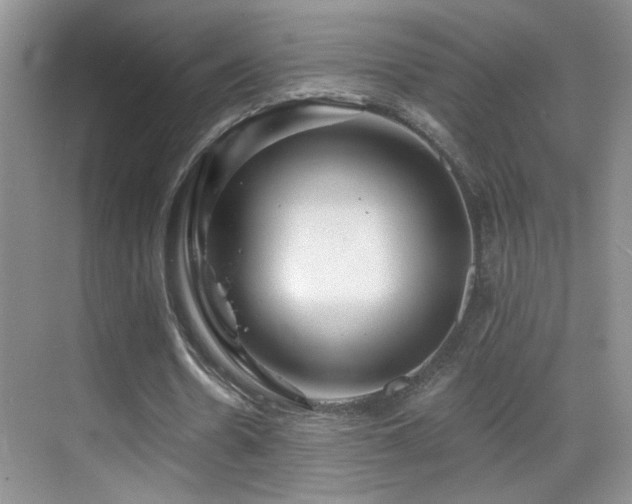 X0000069830530200605191142