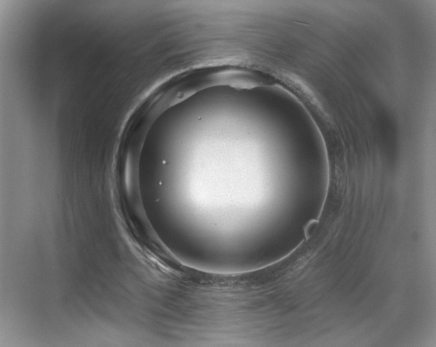 X0000069830532200605191142