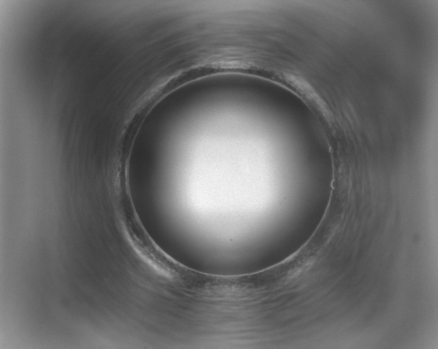 X0000069830533200605191142