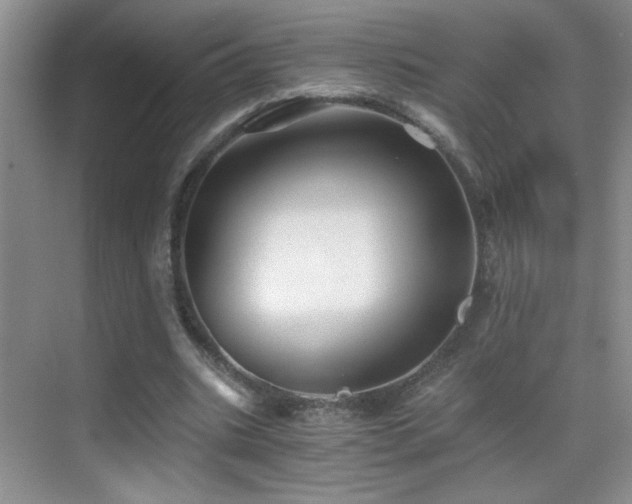 X0000069830535200605191142