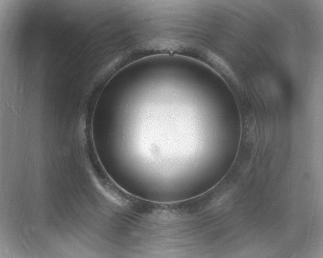 X0000069830538200605191142