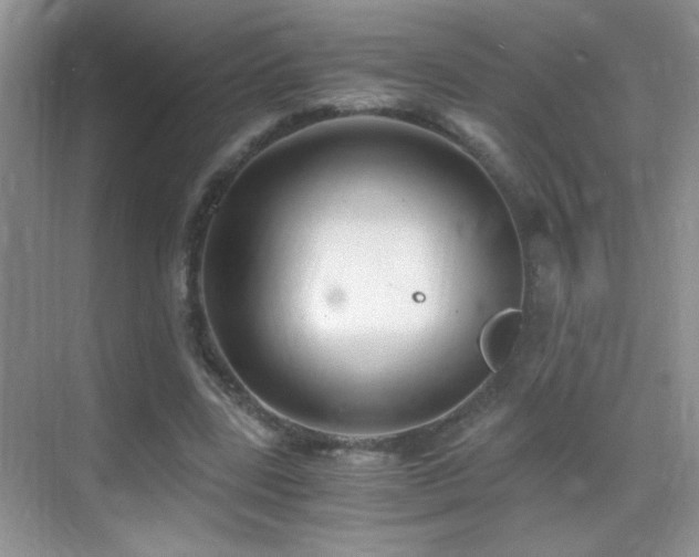 X0000069830539200605191142