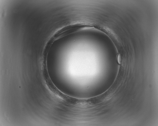 X0000069830540200605191142