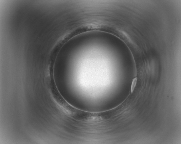 X0000069830543200605191142