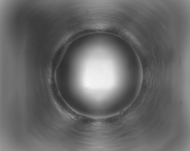 X0000069830544200605191142