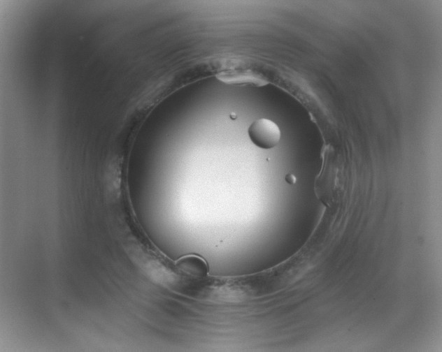 X0000069830545200605191142