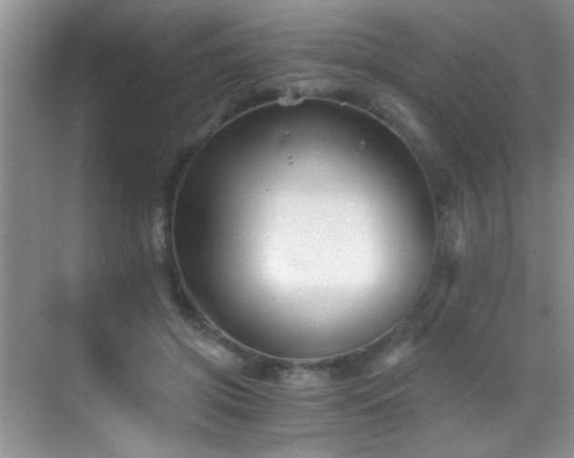 X0000069830549200605191142