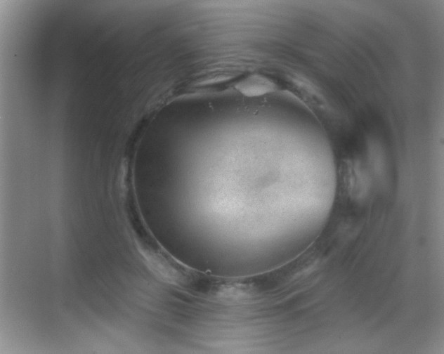 X0000069830550200605191142