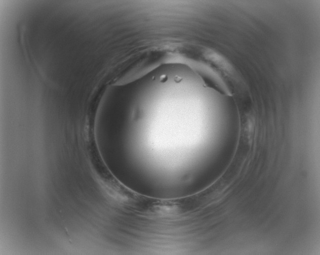 X0000069830552200605191142