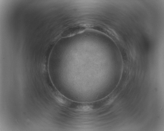 X0000069830553200605191142