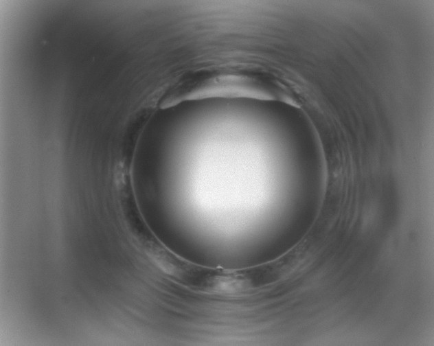 X0000069830555200605191142