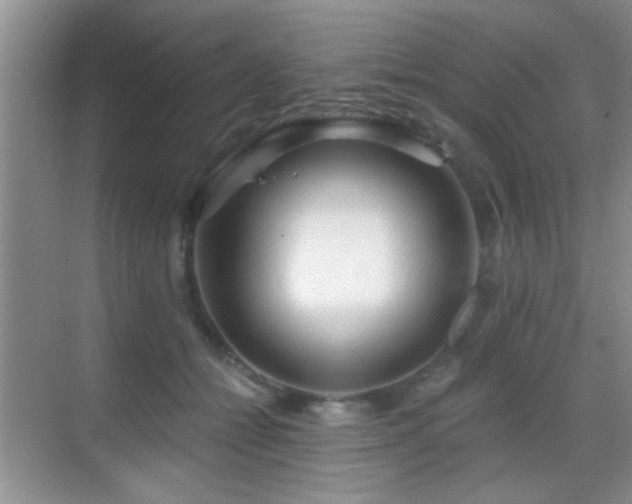 X0000069830558200605191142