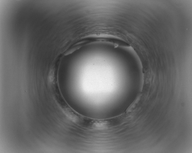 X0000069830560200605191143