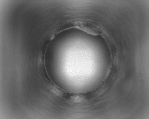 X0000069830561200605191143