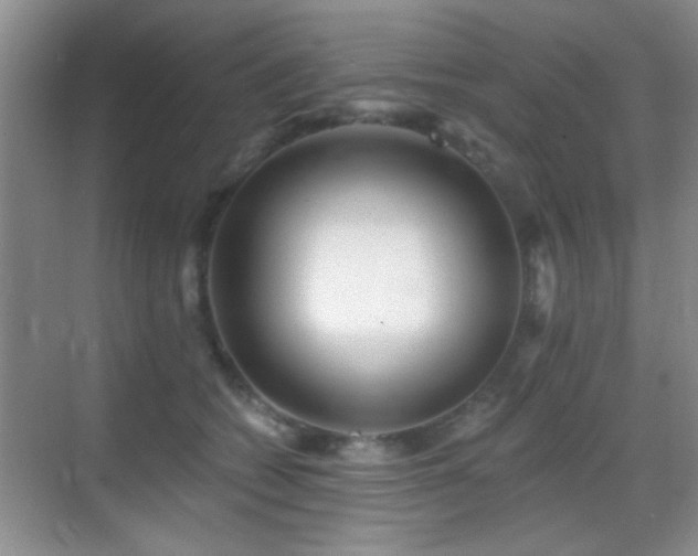 X0000069830562200605191143