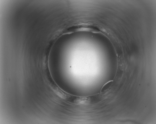 X0000069830563200605191143