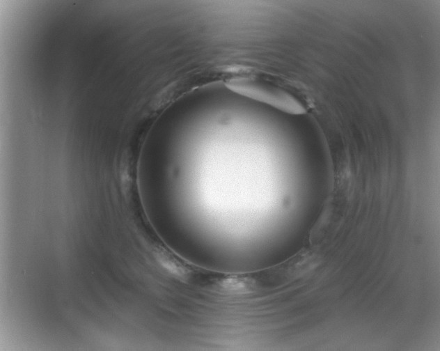 X0000069830566200605191143