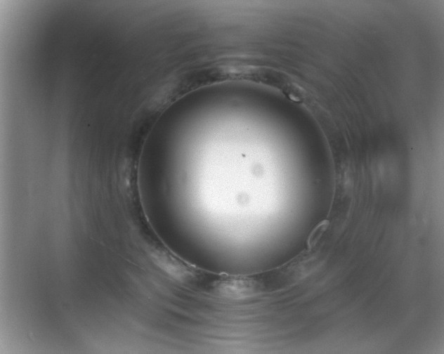 X0000069830567200605191143