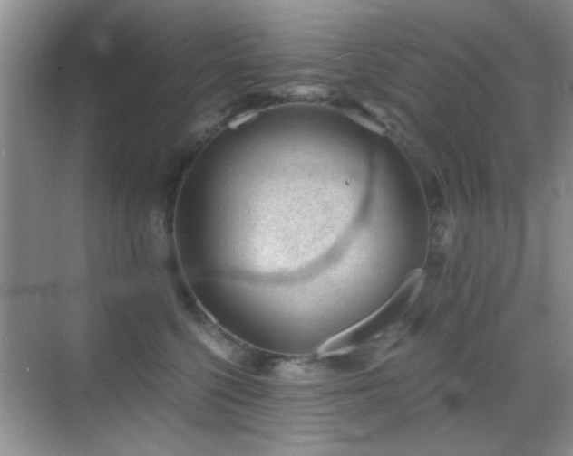 X0000069830568200605191143