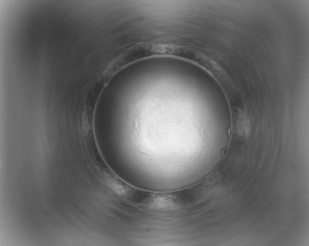 X0000069830569200605191143