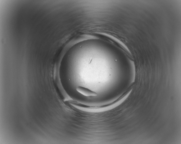 X0000069830570200605191143