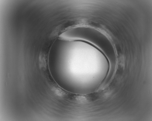 X0000069830572200605191143