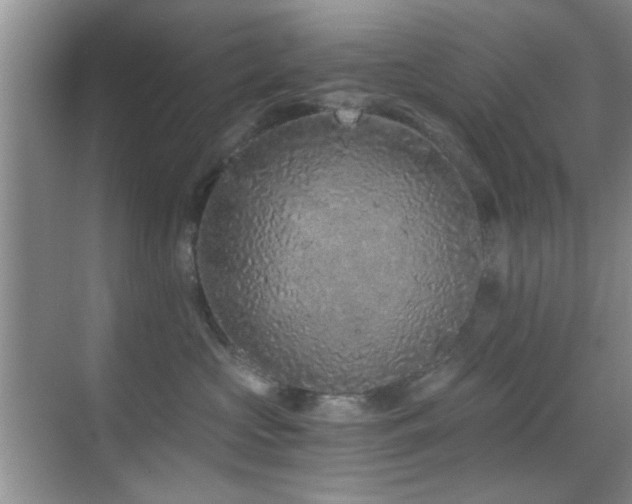 X0000069830573200605191143