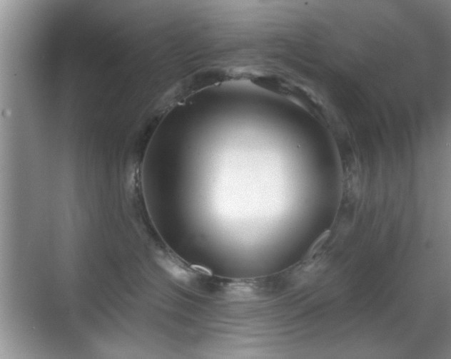 X0000069830574200605191143