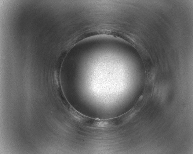 X0000069830575200605191143