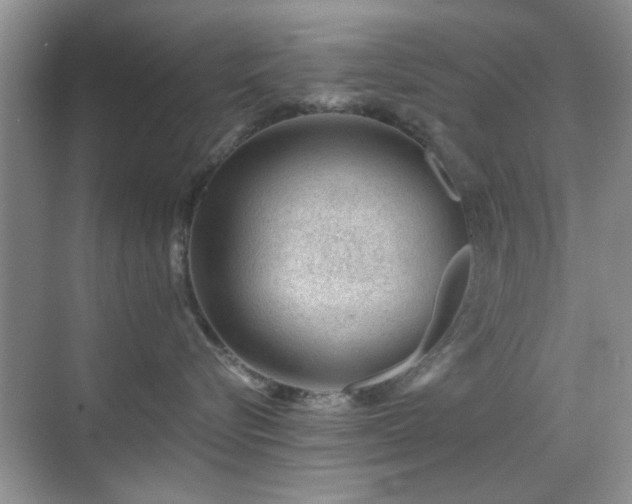 X0000069830576200605191143