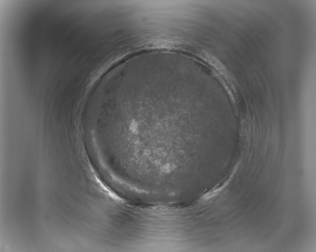 X0000069830577200605191142