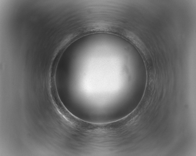 X0000069830578200605191142