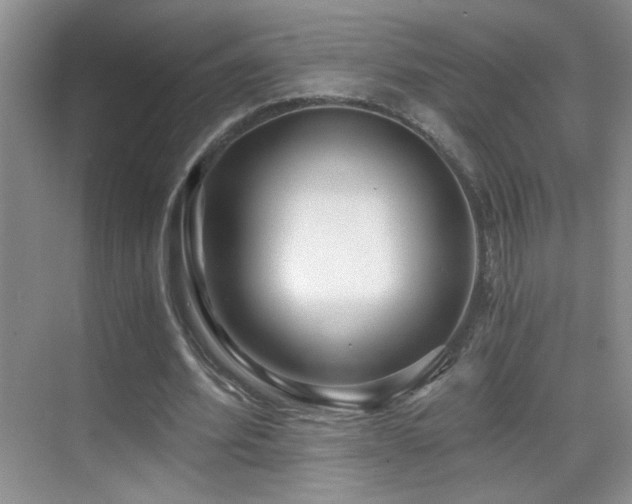 X0000069830580200605191142