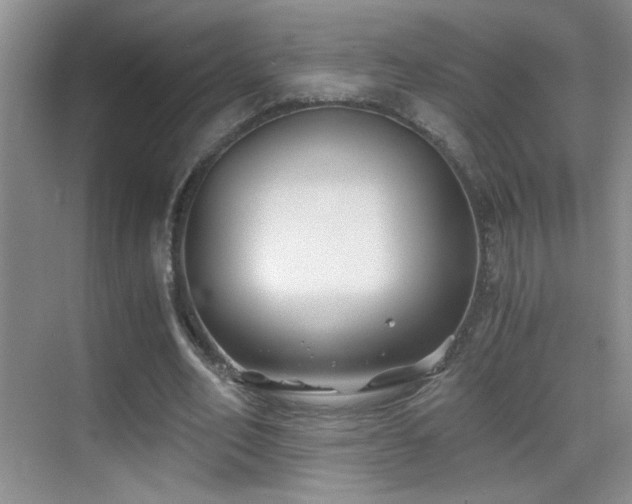 X0000069830582200605191142