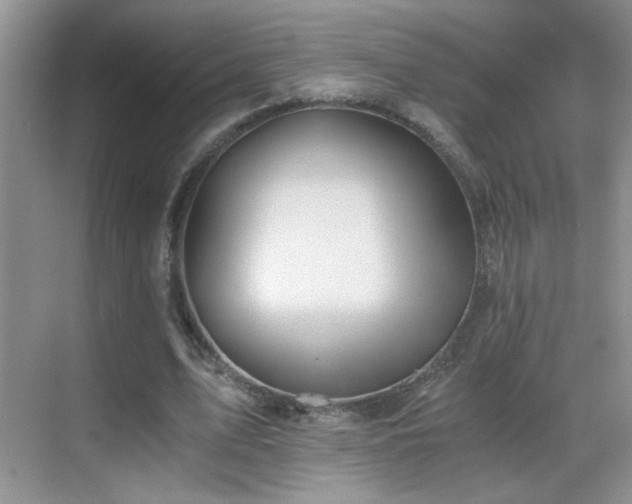 X0000069830583200605191142