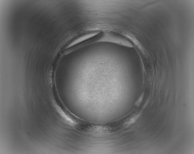 X0000069830585200605191142