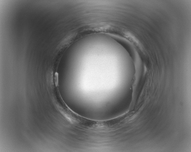 X0000069830589200605191142